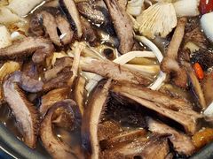 -蘑统田下·野生菌火锅