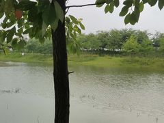 -金谷域澳洲庄园