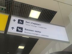 -谢列梅捷沃国际机场