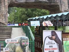 -合肥野生动物园