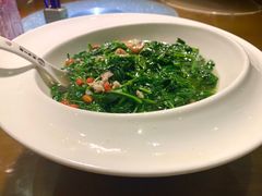 五指山野菜-海南大院(海甸岛店)