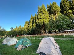 -武陵山森林公园