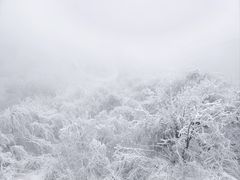 -嘉陵江源头景区