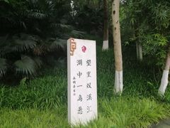 -重庆彩云湖湿地公园