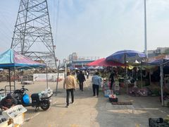 -中环花鸟鱼虫市场
