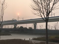 -国际港务区(地铁站)