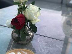 -Hi City·城市之巅