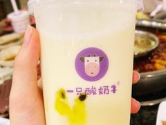 -一只酸奶牛(八一路店)
