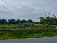 -两河城市森林公园