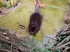 -陕西自然博物馆