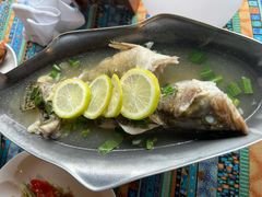 青柠汁蒸桂鱼-食肆&Fourteen(武林夜市店)