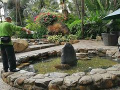 -厦门日月谷温泉渡假村