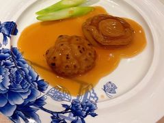 -金燕岛潮州酒楼