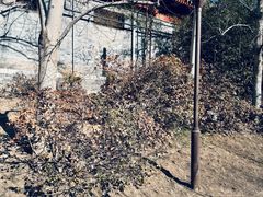 -元大都城垣遗址公园