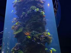 -西安曲江海洋极地公园