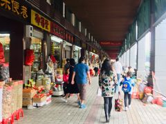 -清平中药材专业市场