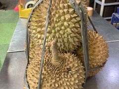 榴莲-Sibolang Durian