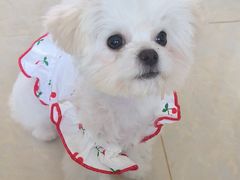 -comecome来吧宠物(奥克斯中心店)