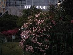 门急诊-广西医科大学第一附属医院