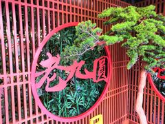 -老九圆山西面馆(CBD店)