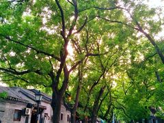 -北京国子监胡同