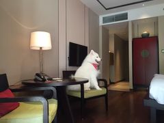 -上海崇明金茂凯悦酒店