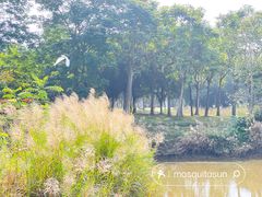 -福田红树林生态公园