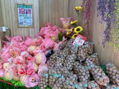 -百果园(大冲店)