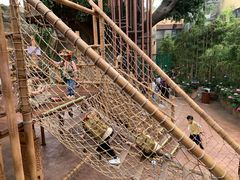 -杭州开元森泊度假乐园