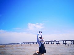 -南汇嘴观海公园