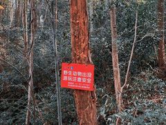-杭州植物园
