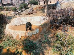 -杭州野生动物世界