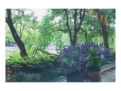 -星巴克(西湖天地店)