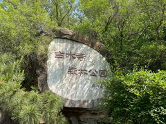 -白水寺森林公园