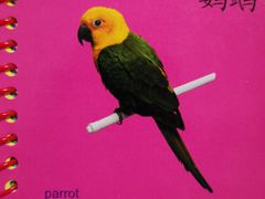 -悠贝亲子图书馆(崇文门店)