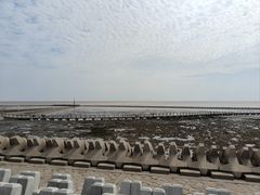 -南汇嘴观海公园