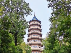 -灵谷景区