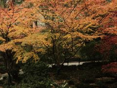 -中国茶叶博物馆(双峰馆区)