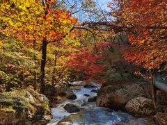 -丹东天桥沟景区