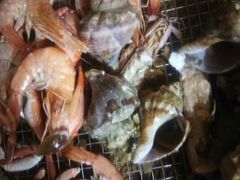 -海味当家·蒸锅海鲜(星海公园店)