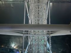 游乐设施-南昌之星摩天轮