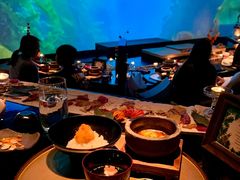-地球美食剧场