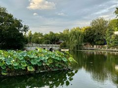 -朴墅(西湖青芝坞店·杭帮菜·家宴.14年的店)