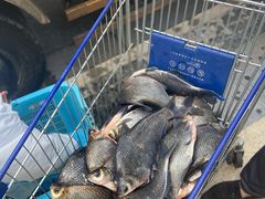 -光明食品集团有限公司