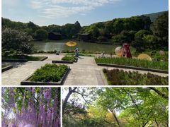 -溱湖国家湿地公园