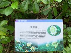 -中国科学院西双版纳热带植物园