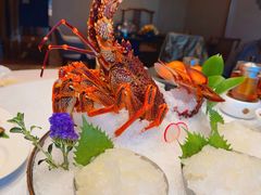 -金悦轩海鲜酒家(拱北店)