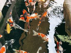 -贵阳高新惠诚食品有限公司