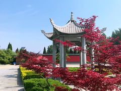 -南海禅寺