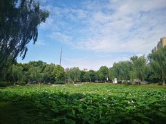 -堤角公园